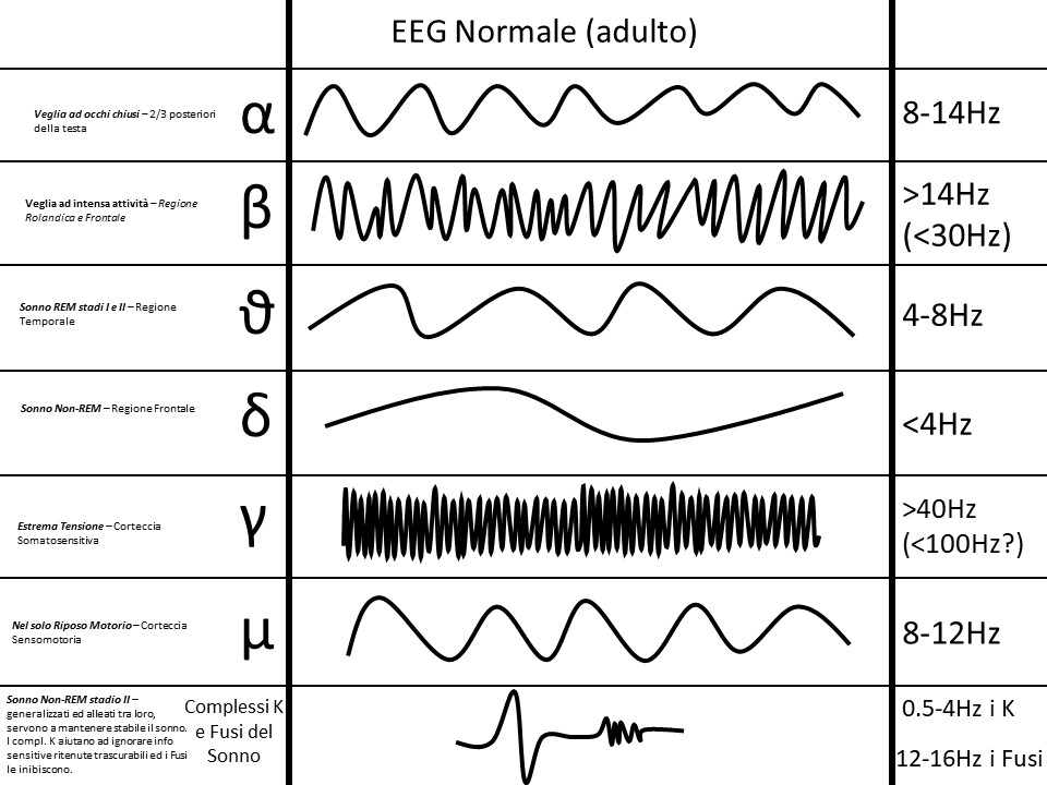 Le onde cerebrali ed il loro aspetto normale