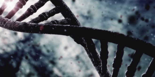 DNA e RNA: complessità, struttura e funzioni