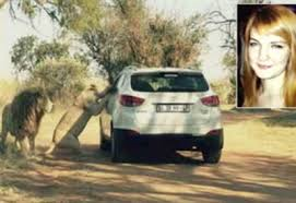 KATHERINE DONNA SBRANATA DA UN LEONE IN AFRICA