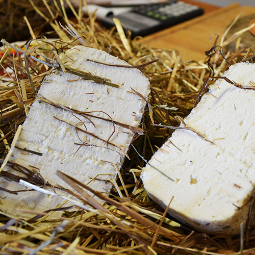 Assaggiate il pecorino toscano semistagionato nel fieno per 6 mesi, direttamente a casa vostra.