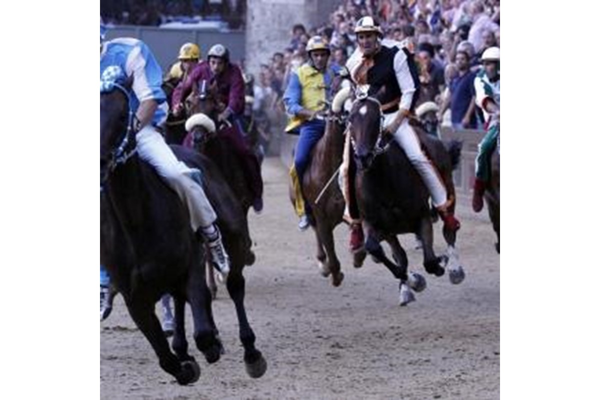 Il Palio di Siena, cavalli sacrificati in nome di una tradizione