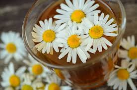 Tisane naturali ed infusi benefici