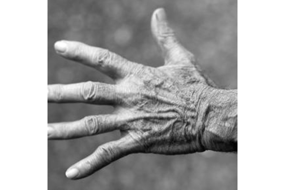 Pensioni esodati, ultime novità ad oggi 8 luglio 2016: i commenti della Rete dopo la conferenza stampa alla Camera