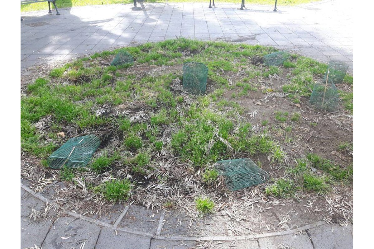 Catania, distrutto il Giardino dei Giusti e delle Giuste del quartiere Borgo