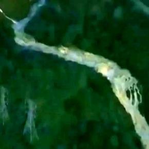 California fuga della popolazione minacciata dalla diga di Oroville