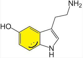 Alcuni rimedi naturali per il buon umore